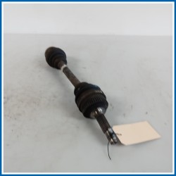 Semiasse ant. sx. DR DR1