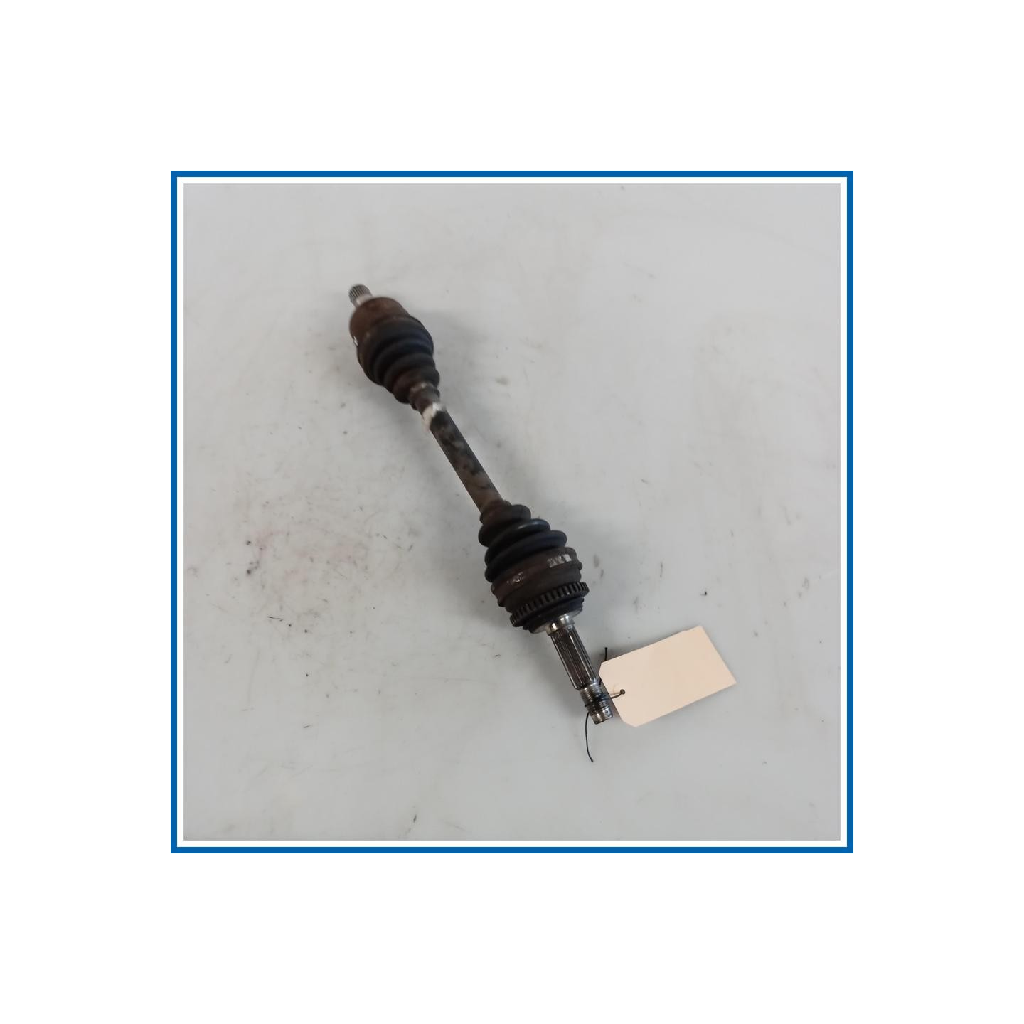 Semiasse ant. sx. DR DR1