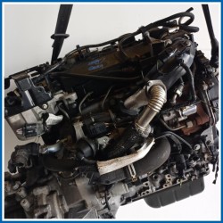 Motore semicompleto revisionato FORD Focus IV SW
