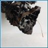 Cambio FORD Focus IV SW