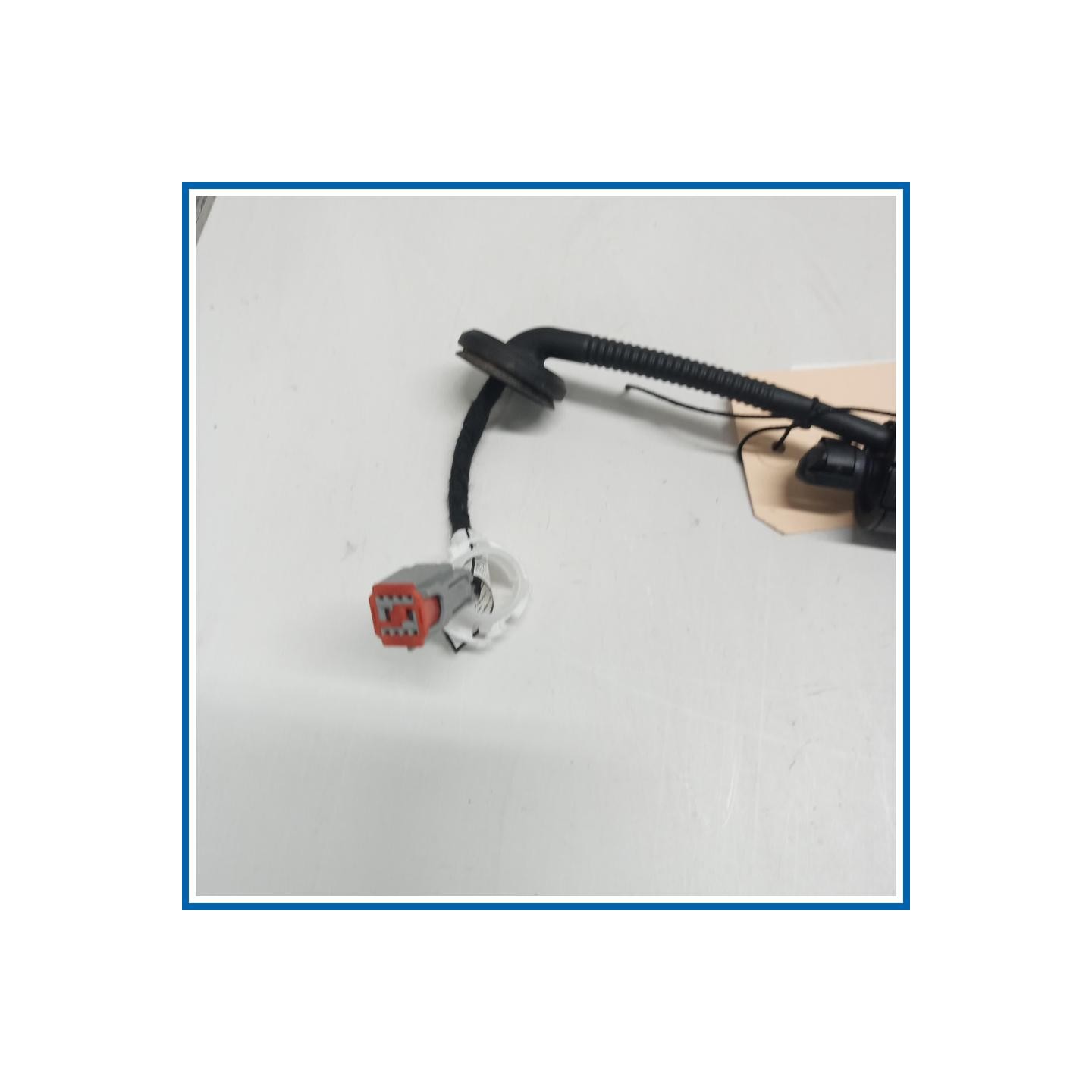 Ammortizzatore pneumatico SX portello post. FORD Mustang Mach-E