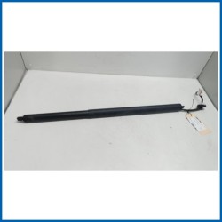 Ammortizzatore pneumatico DX portello post. FORD Mustang Mach-E