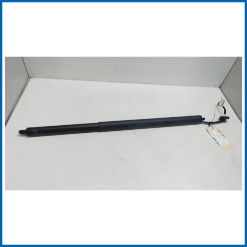 Ammortizzatore pneumatico DX portello post. FORD Mustang Mach-E