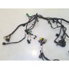 Cablaggio impianto elettrico telaio Suzuki TL 1000 TL 1000 S 