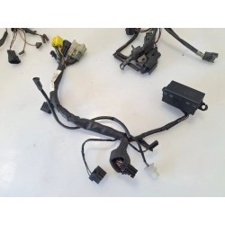 Cablaggio impianto elettrico telaio Suzuki TL 1000 TL 1000 S 