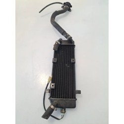 Radiatore Suzuki UC 150 Epicuro UC 150 Epicuro 