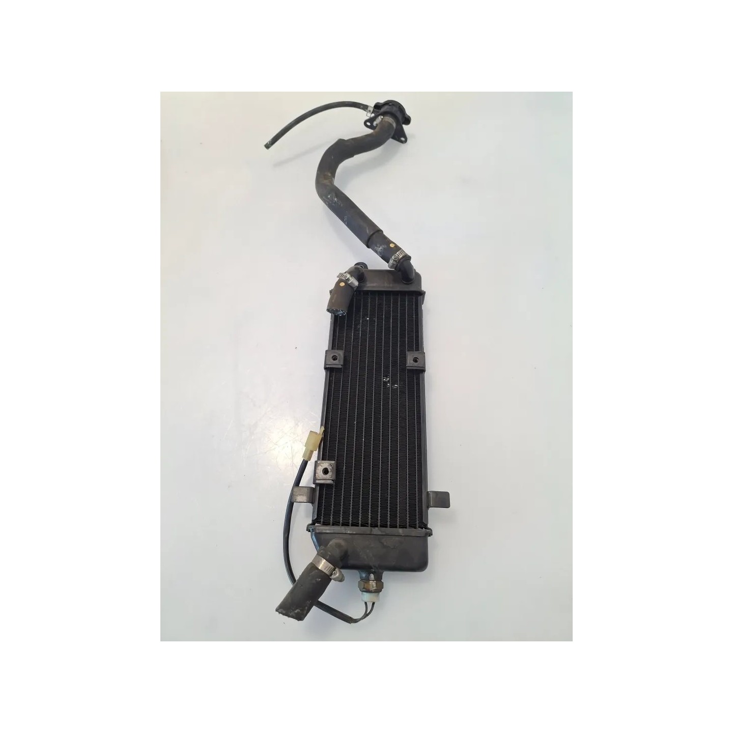 Radiatore Suzuki UC 150 Epicuro UC 150 Epicuro