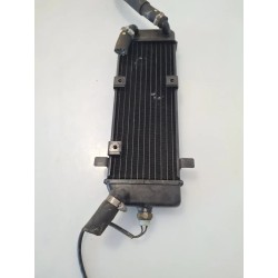 Radiatore Suzuki UC 150 Epicuro UC 150 Epicuro 