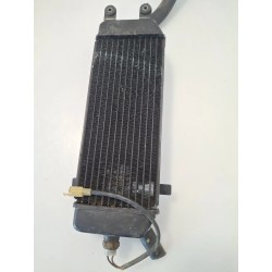 Radiatore Suzuki UC 150 Epicuro UC 150 Epicuro 