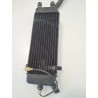 Radiatore Suzuki UC 150 Epicuro UC 150 Epicuro 