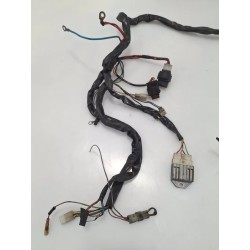 Cablaggio impianto elettrico telaio Aprilia Scarabeo 50 2T (03-) Scarabeo 50 2T 