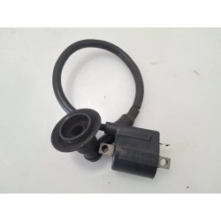 Bobina Aprilia Scarabeo 50 2T (03-) Scarabeo 50 2T 