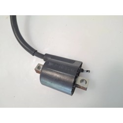 Bobina Aprilia Scarabeo 50 2T (03-) Scarabeo 50 2T 