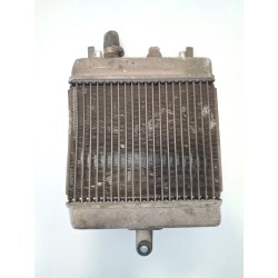 Radiatore Suzuki UH Burgman 200 (E3) (06-14) Burgman 200 