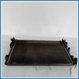 Radiatore acqua VOLKSWAGEN Polo VI