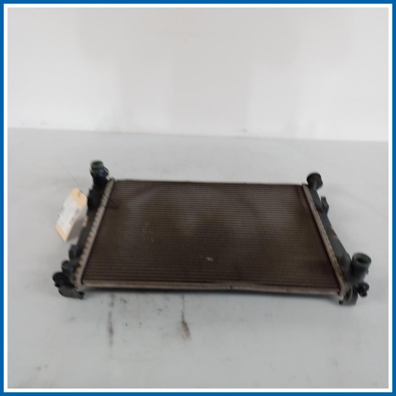 Radiatore acqua FORD Fiesta V