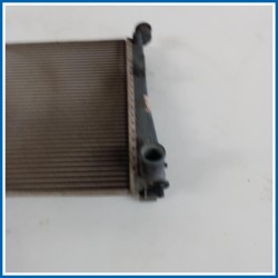 Radiatore acqua FORD Fiesta V