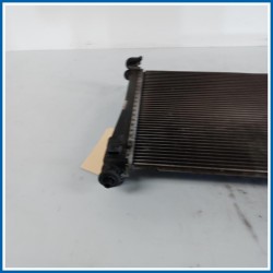 Radiatore acqua FORD Fiesta V