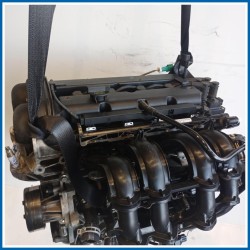 Motore semicompleto FORD Fiesta VI