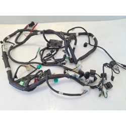 Cablaggio impianto elettrico telaio - Kymco G-Dink 300