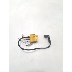 Centralina acc.ne - Malaguti F12 Phantom 50 LC (E1)