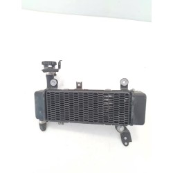 Radiatore - Voge Brivido 125