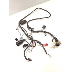 Cablaggio impianto elettrico telaio 01/99 - Honda Sky