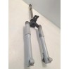 Forcella compl. - Piaggio Liberty 50 4T (E2) (03-08)