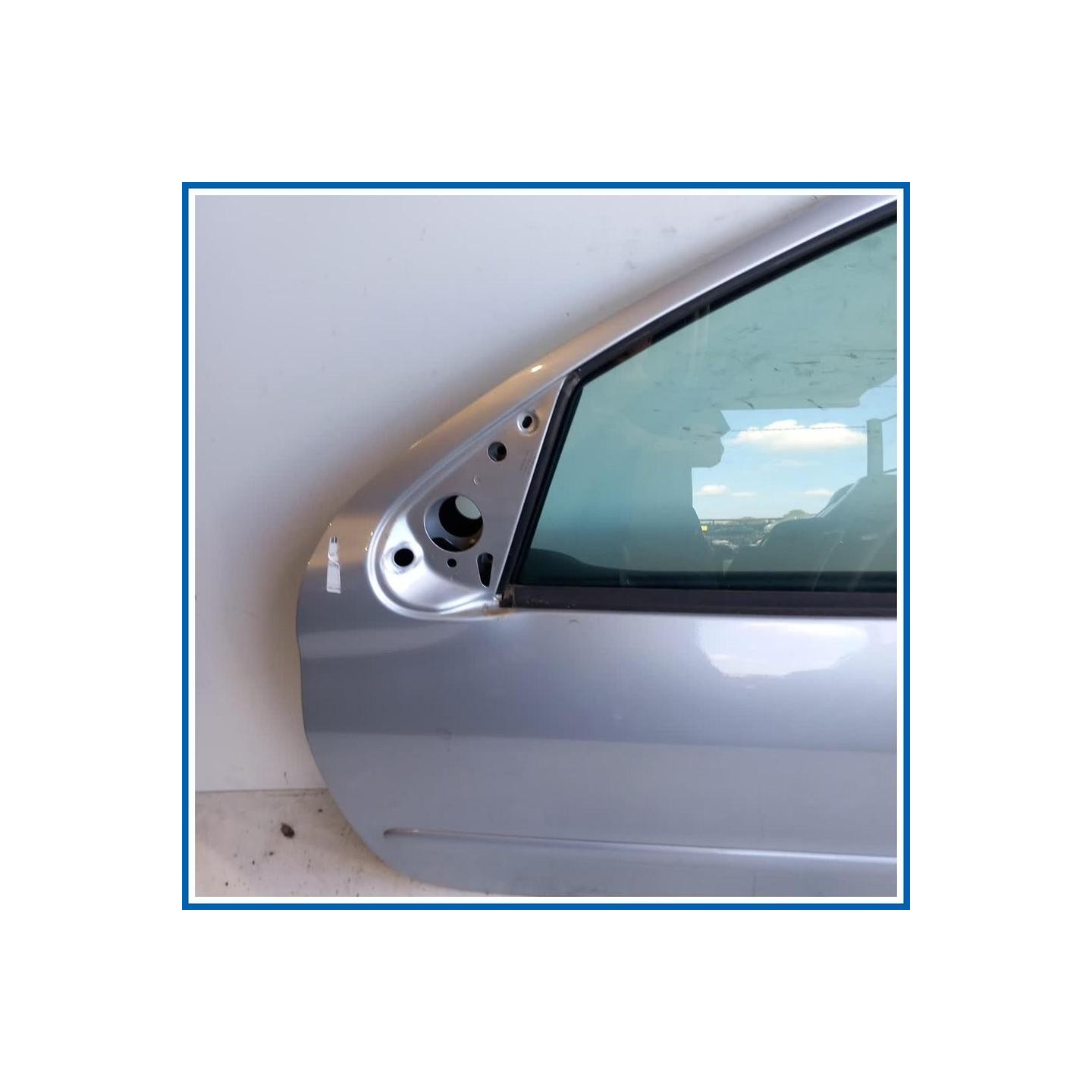 Porta ant. sx. PEUGEOT 206 +
