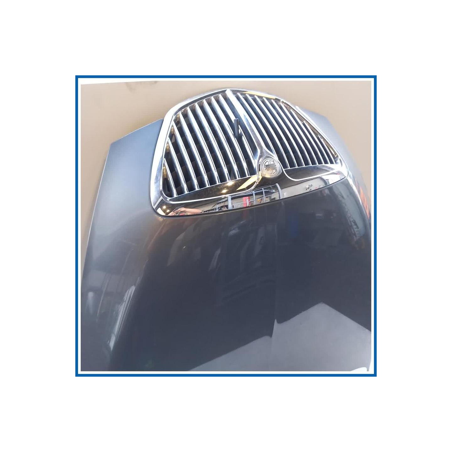 Cofano ant. LANCIA Thesis