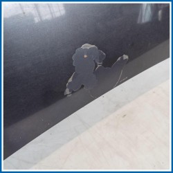 Cofano ant. AUDI A3 8P1