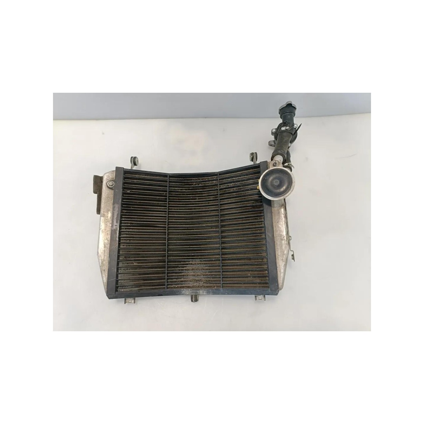 Radiatore - Yamaha FJR 1300 (16-)
