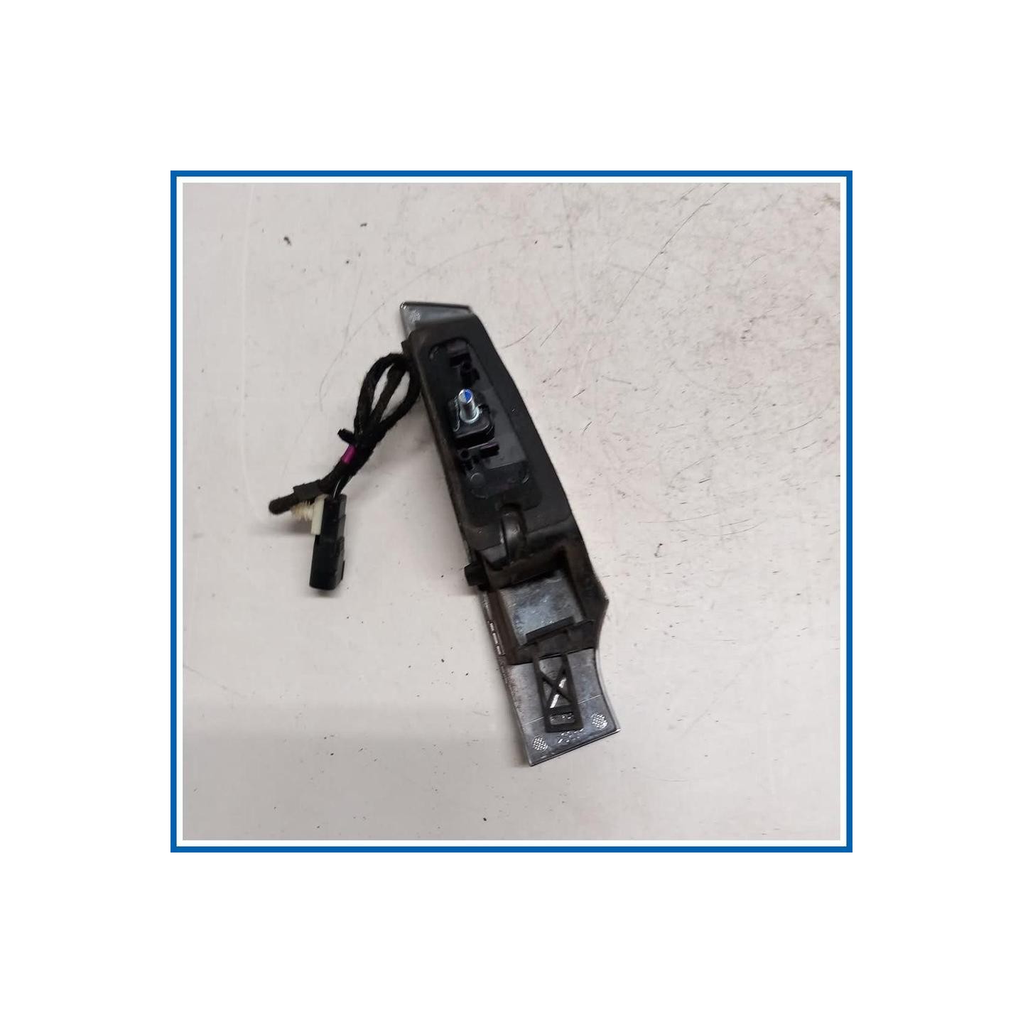Maniglia portello est. post. FORD Ecosport