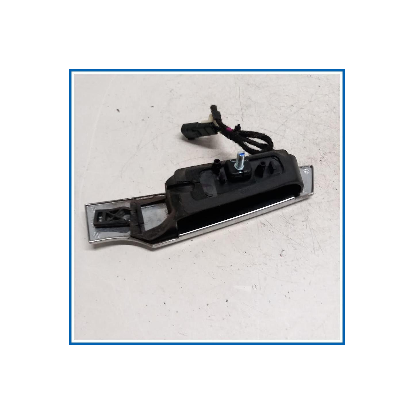Maniglia portello est. post. FORD Ecosport