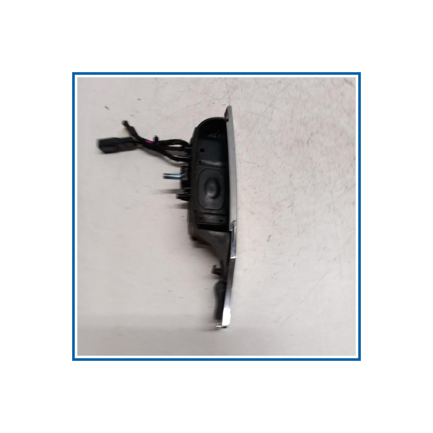 Maniglia portello est. post. FORD Ecosport