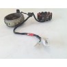 Statore alternatore - Kymco Agility 200 R16 (E3)