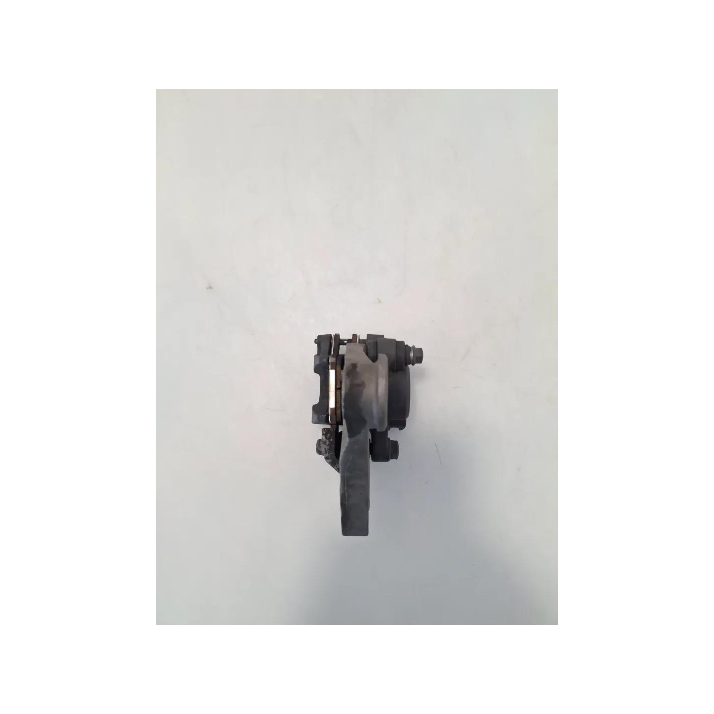 Pinza freno post. compl. - Honda CBF 600 (E2)