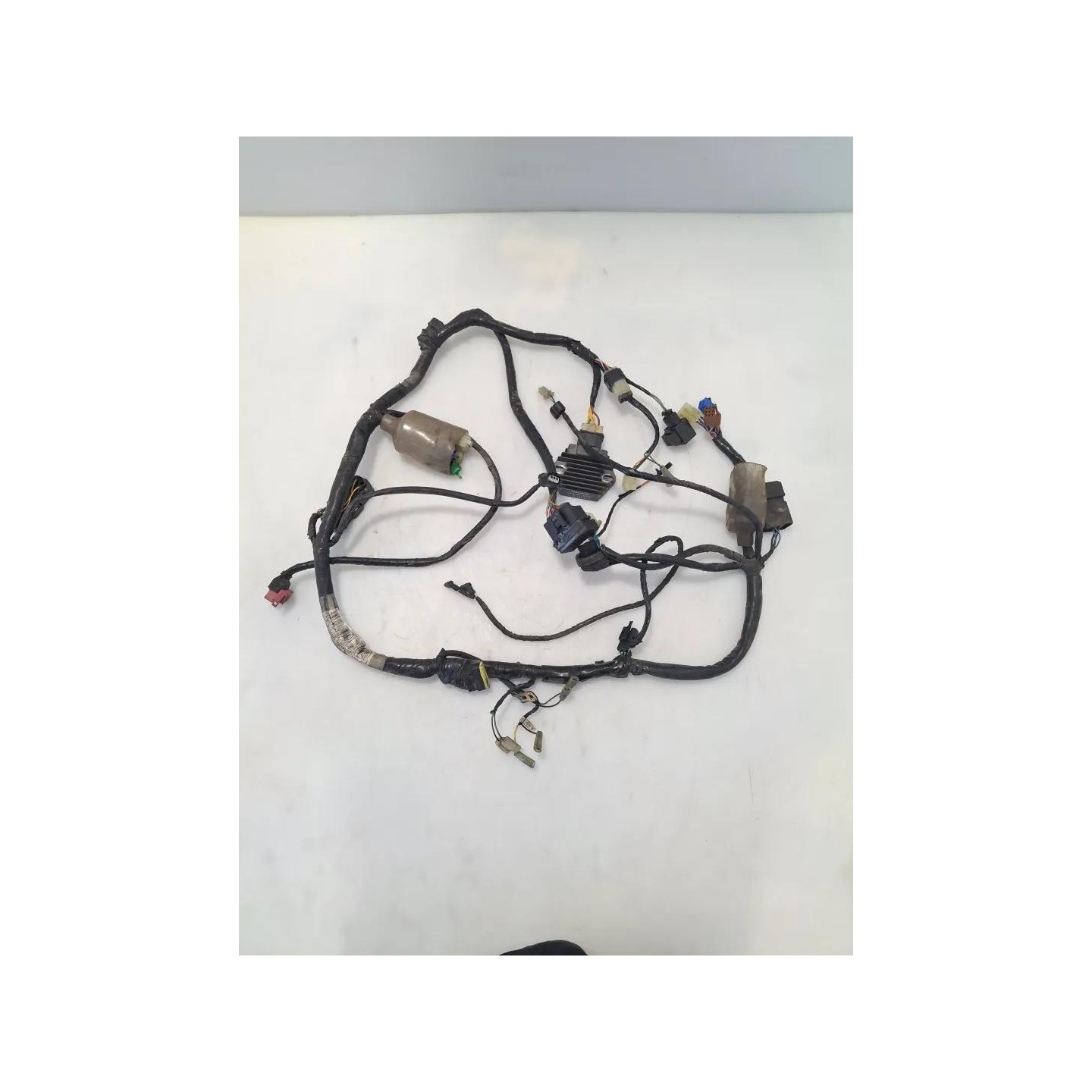Cablaggio impianto elettrico telaio - Honda CBF 600 (E2)