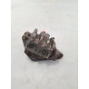 Pinza freno ant. compl. sx. - Kymco Xciting 250i (E3)