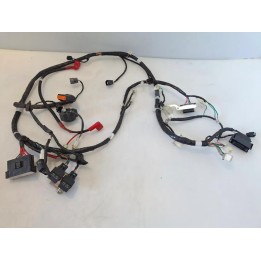 Cablaggio impianto elettrico telaio - Sym Symphony 125 (E5+)