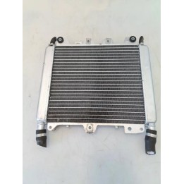 Radiatore - Aprilia SR Max