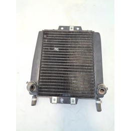 Radiatore - Piaggio MP3 250 (08-)