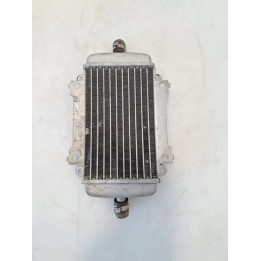 Radiatore - Piaggio Vespa 300 GTS (E3)