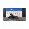 Sospensioni anteriori SMART SMART COUPE' (C450) (07/98-01/