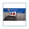 Fanaleria SMART SMART COUPE' (C450) (07/98-01/