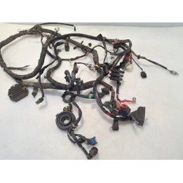 Cablaggio impianto elettrico telaio - Piaggio Liberty 125 3V i.e. (E4)