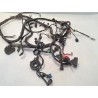 Cablaggio impianto elettrico telaio - Piaggio Liberty 125 3V i.e. (E4)