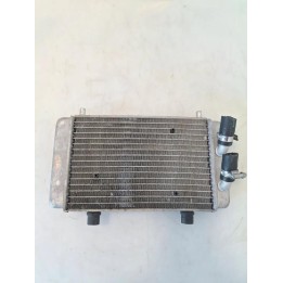 Radiatore - Yamaha X-Max 250 (E3) (14-)
