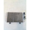 Radiatore - Yamaha X-Max 250 (E3) (14-)