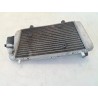 Radiatore - Yamaha X-Max 250 (E3) (14-)